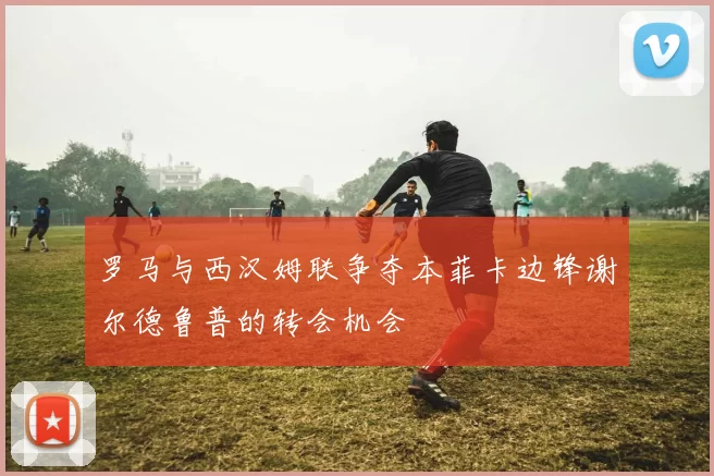 罗马与西汉姆联争夺本菲卡边锋谢尔德鲁普的转会机会