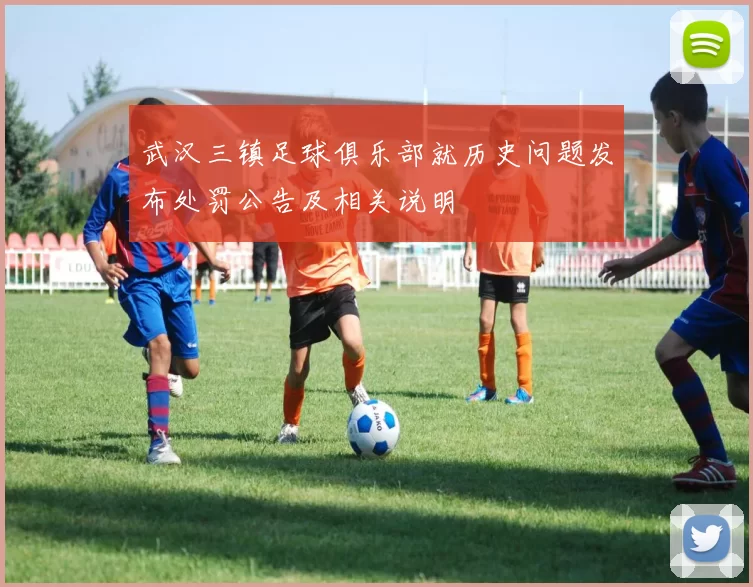 武汉三镇足球俱乐部就历史问题发布处罚公告及相关说明